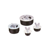 2" Economy Wing Nut Test Plug